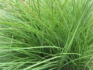 Shem Center For Interfaith Spirituality