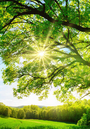 Shem Center For Interfaith Spirituality